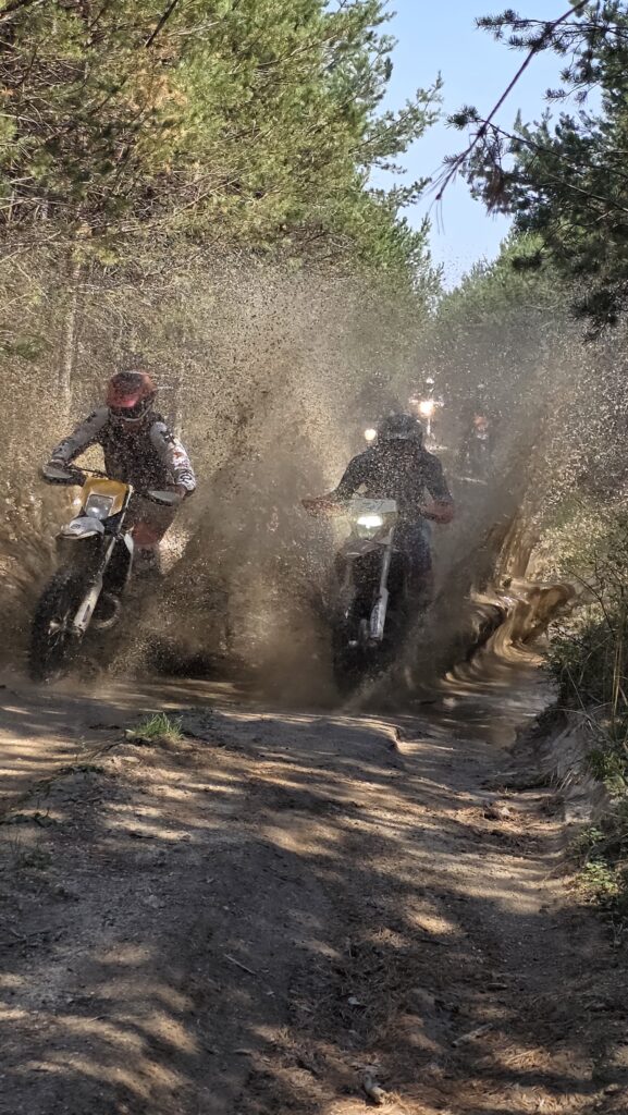 dirt never hurt